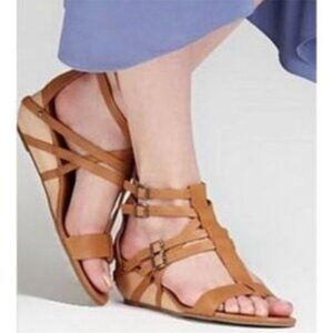 Elieen Fisher echo gladiator sandal in tan chestnut 5.5